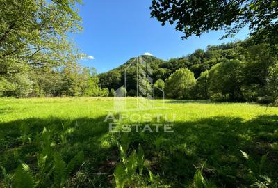 Teren Construcții extravilan de 1300 mp, în Groș - 2