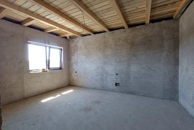 CASA 4 CAMERE , BECI , VALEA ADANCA 5 DRUMURI - 10