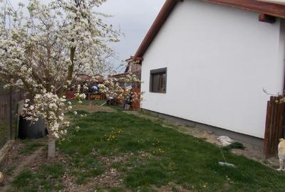 Casă individuală cu 3 camere cu Teren 660 Mp în Moșnița Nouă - 10