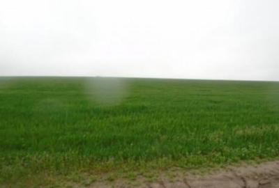 Teren de 4849 mp, în Valea Mare - 4