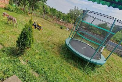 Casă cu 2 camere cu Teren 926 Mp în Murani - 1