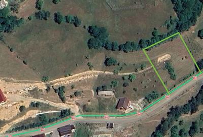 Teren de 2263 mp, în Horea - 6