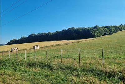 Teren intravilan de 31000 mp, în Sâncraiu de Mureș - 3