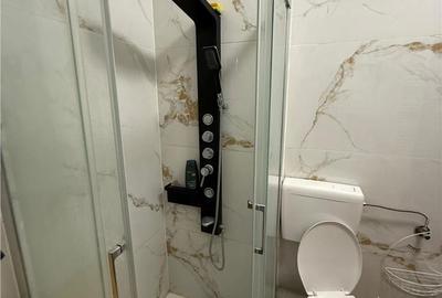 Apartament cu 2 camere, mobilat în Aurel Vlaicu - 16
