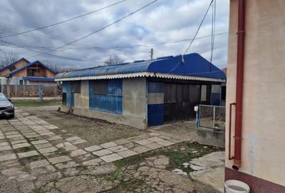 Spațiu industrial, de 287 mp, în Buciumi - 17
