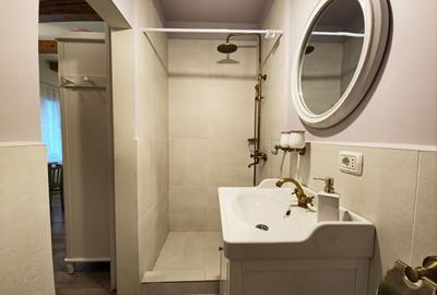 Casa 2 apartamente, ultrafinisate,mobilate la cheie, Horea zona Urania - 10