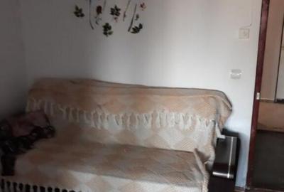 Apartament 1 camera in zona Blascovici - 7