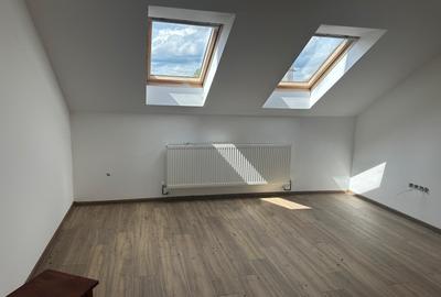 Casa Pensiune in Viile Satu Mare teren 1,63 ha, 11 camere, 10 bai - 9