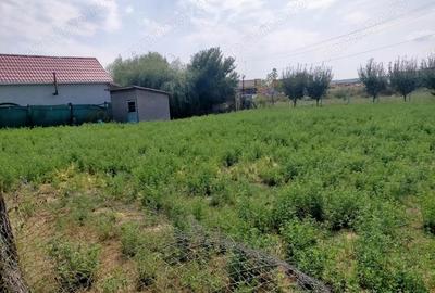 Teren de 800 mp, în Rovine