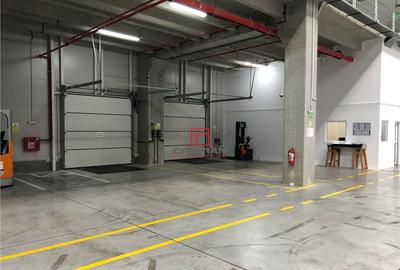 Depozit/hala/spatiu industrial Mogosoaia - Centura, Ilfov - 8