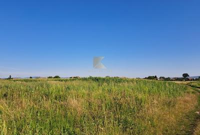 Posibilitate RATE | Teren Bod | curti constructii | utilitati | PUZ, - 16