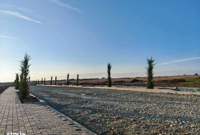 Spațiu comercial, în Nord - 7