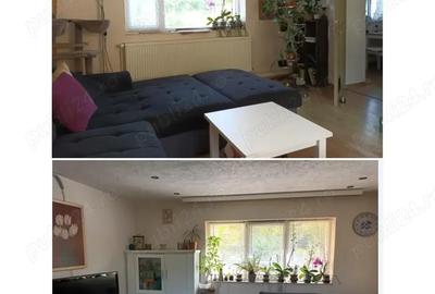 Casa cu pamanturi si oportunita?i pentru cre?terea animalelor - 5