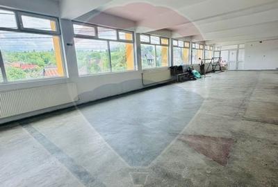 Spatiu comercial de 150mp de inchiriat - 2