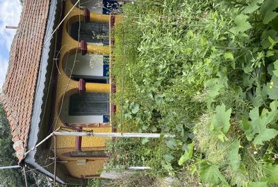 Casă cu 3 camere în Alexeni - 4