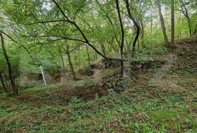 Teren intravilan 7.9 ha. Sandra - 2