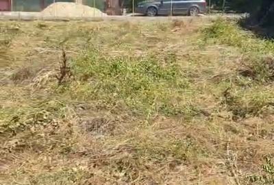 Teren de 500 mp, în Săftica - 3