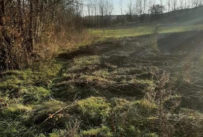 Teren intravilan in Ususau - 1