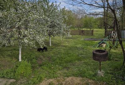 Casă cu 2 camere în Alexeni - 7