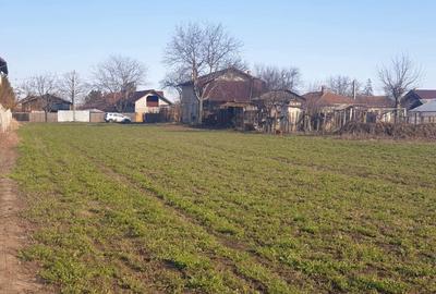 Teren de 3000 mp, în Tomșani - 4