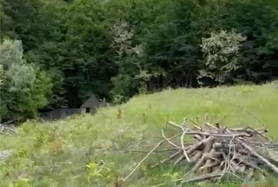 Valea Budului - Teren intravilan. Lac. Padure - 12