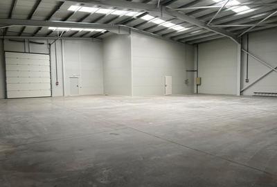 Spațiu industrial, de 595 mp, în Rudeni - 9