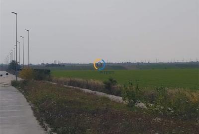 Teren Autostrada 80.000 mp, deschidere la asfalt 113 ml, langa pasarela Oarja - 5