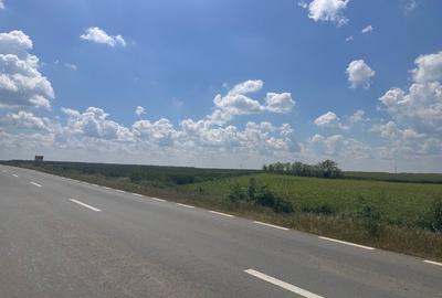 Teren Construcții intravilan de 1400 mp, în Solacolu - 2