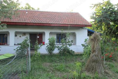 Casa ?i Teren sat Sandulita-Calarasi - 2