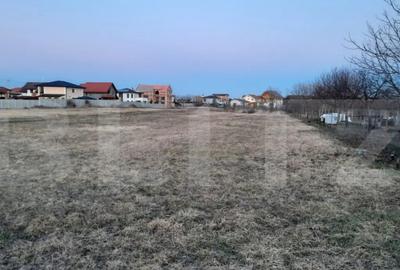 Teren în Torontalului