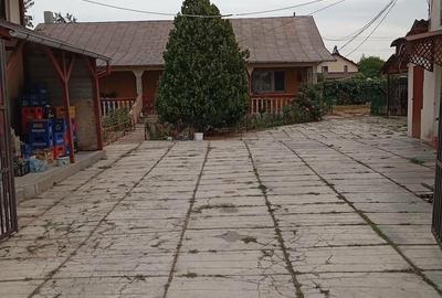 Casă cu Teren 1500 Mp în Mircea Vodă - 2