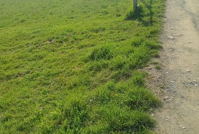 Teren de 8000 mp, în Meteș - 9