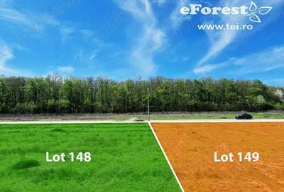 Casă cu Teren 720 Mp în Crevedia - 3