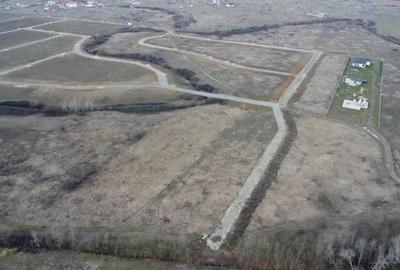 Teren de 5000 mp, în Albina - 6