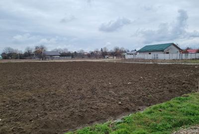 Teren Comuna Berceni zona noua - 2