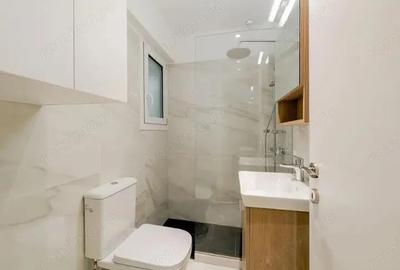 Spațiu comercial, de 56 mp, în Iancului