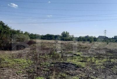 Teren intravilan, 2400 mp, zona Aleea Manastirii - 3