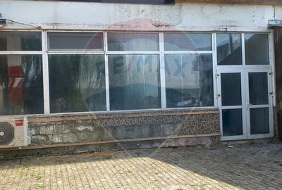 Spatiu comercial stradal de vanzare Mahmudia |Delta Dunarii Tulcea