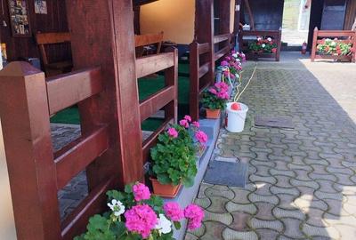 Casă cu 3 camere în Coșteiu - 4