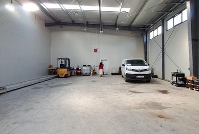 Spații de Producție și Depozitare de Închiriat - Chitila - 4