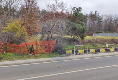 Oportunitate investitie B. Felix teren intravilan cu PUZ 1157 mp DN 76 - 1