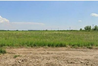 Teren Costestii din Vale, ID: R2582235 Teren Costestii din Vale, ID: R2582235 - 3