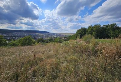 Teren cu autorizatie pentru doua case in Chinteni - 3
