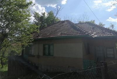 Teren de 5265 mp, în Teișani