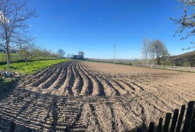 Casă cu Teren 5200 Mp în Pârteștii de Jos - 3