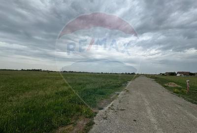 Teren Construcții intravilan de 433 mp, în Livada