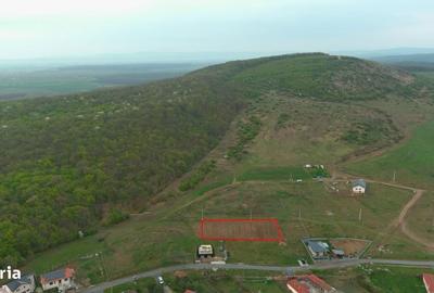 Spațiu comercial, în Betfia - 3