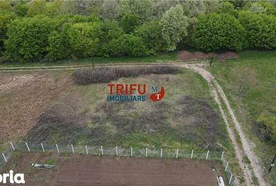 Teren de 884 mp, în Cetate