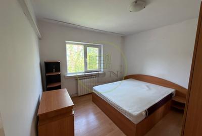 Apartament cu 2 camere decomandat, mobilat în Brazda lui Novac - 3