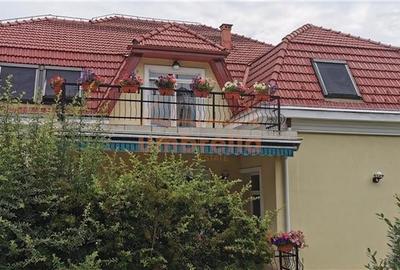 VILA DE INCHIRIAT IN ANDREI MURESANU, CLUJ-NAPOCA - 3